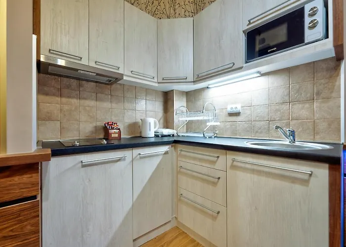 Magnifica Lux Gondola 公寓 兹拉蒂博尔